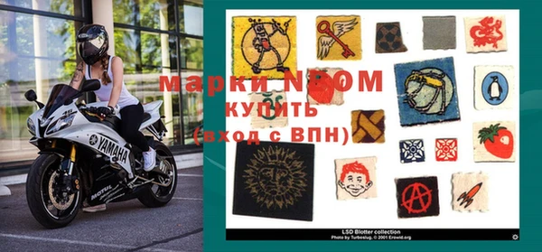 гидра Михайловск