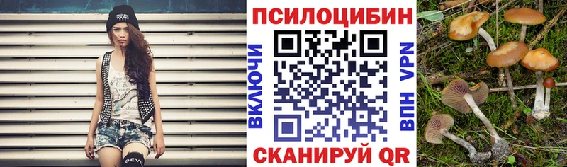 ссылка на мегу ССЫЛКА  Олонец  Галлюциногенные грибы MAGIC MUSHROOMS  купить  сайты 