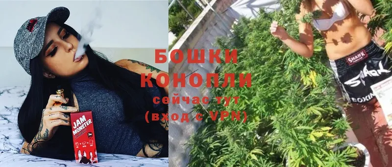 где купить наркоту  Олонец  Конопля Ganja 